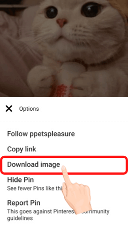Pinterest App Download Step 2