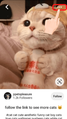 Pinterest App Download Step 1